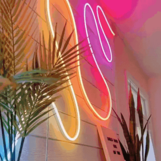 LED neon RGB traka 5m